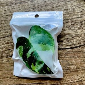 Phone socket